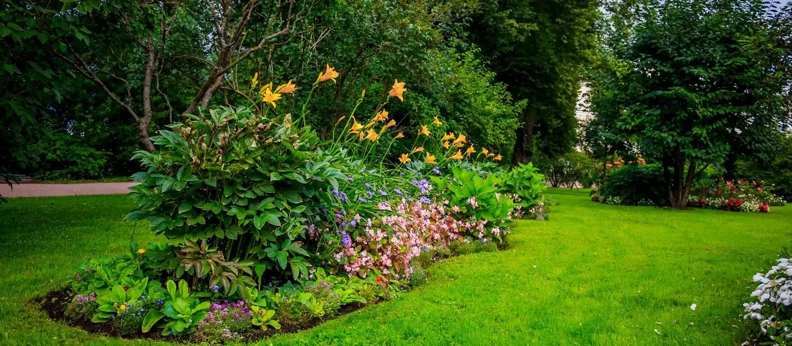 Kingston’s Trusted Landscapers