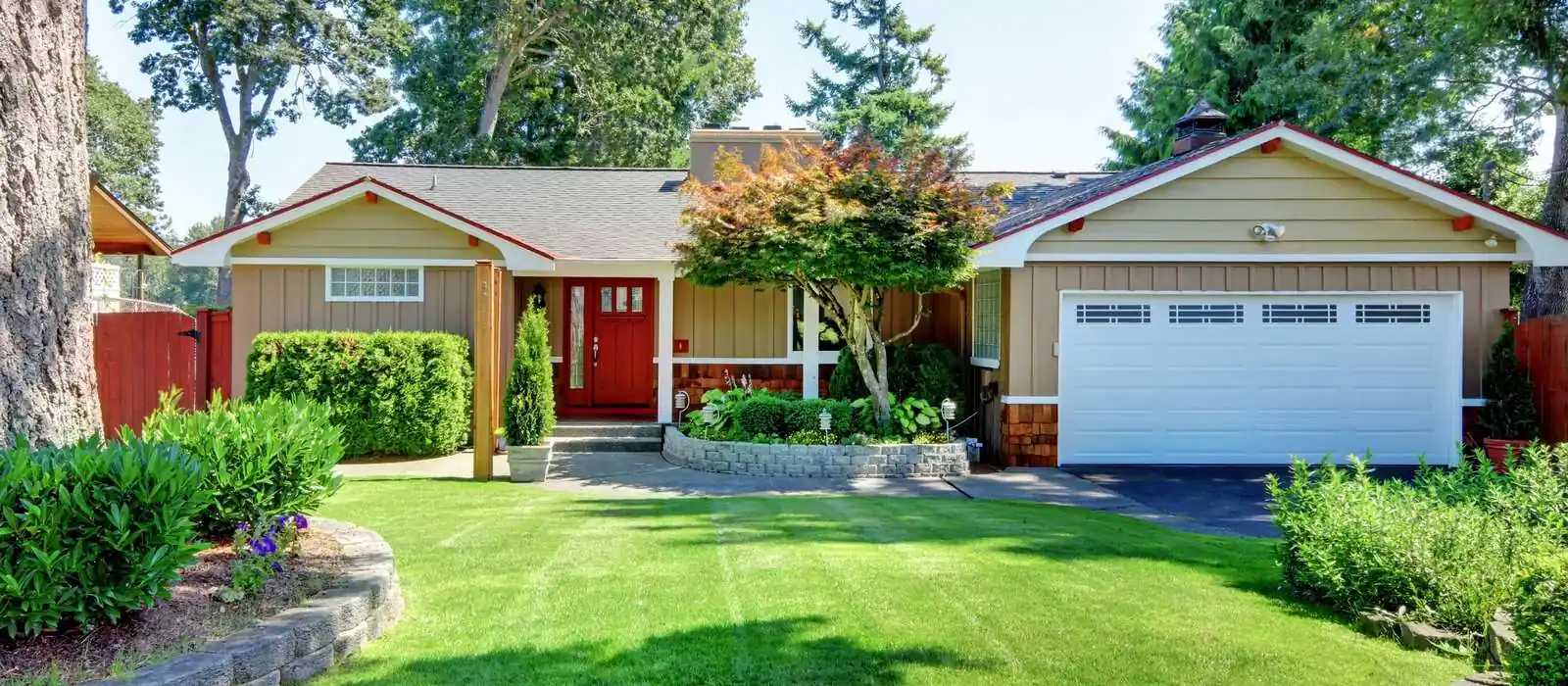 Your Lawn Care Specialists