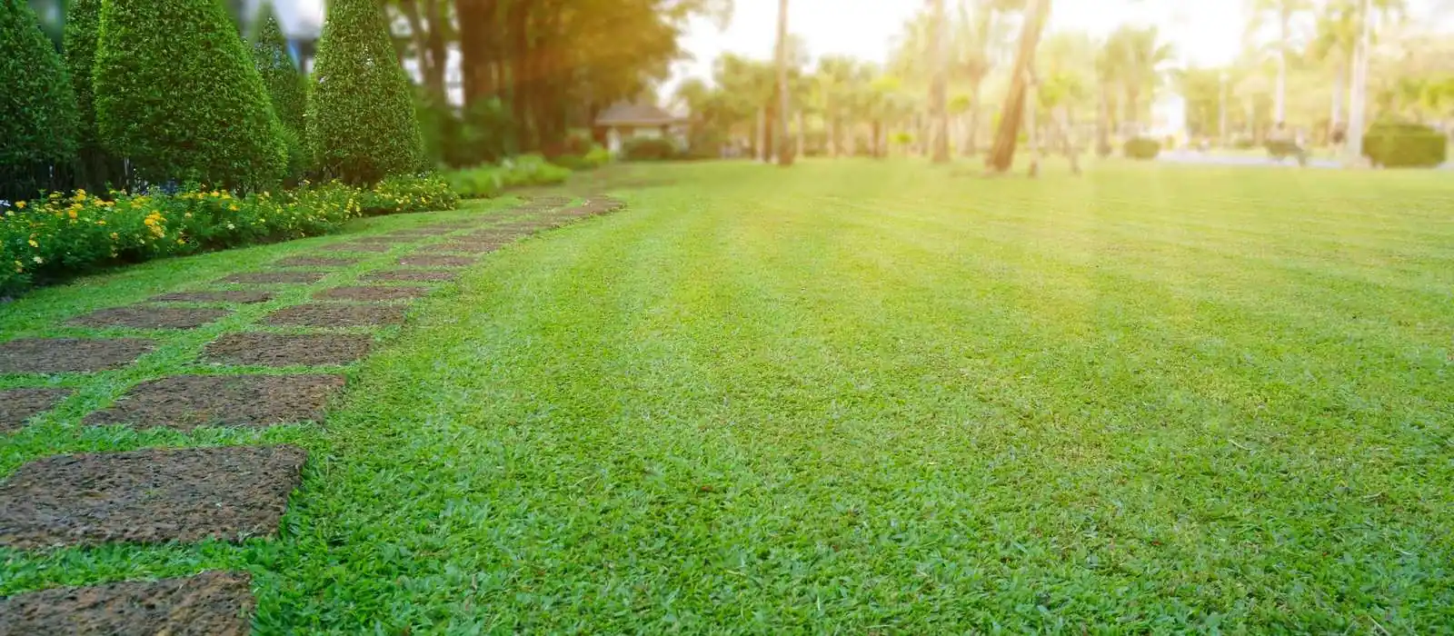 Let Us Beautify Your Lawn