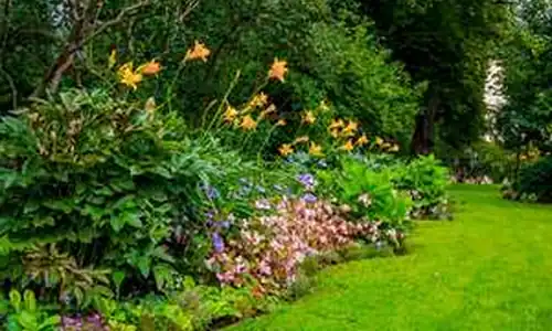 Kingston’s Trusted Landscapers
