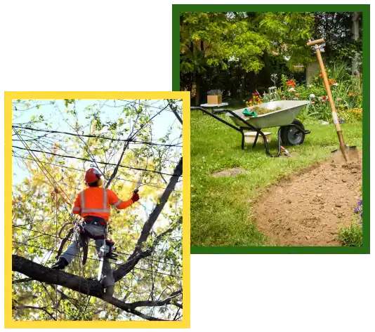 J Gutiérrez Landscaping LLC 